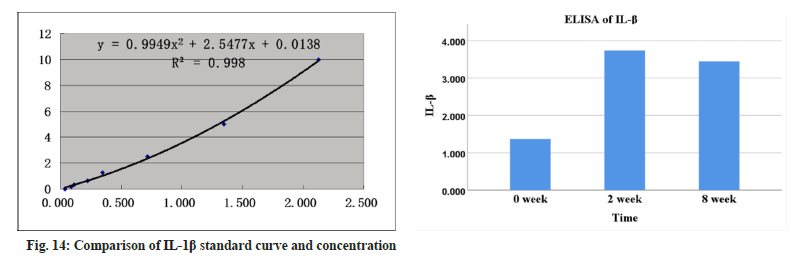 ijps-concentration