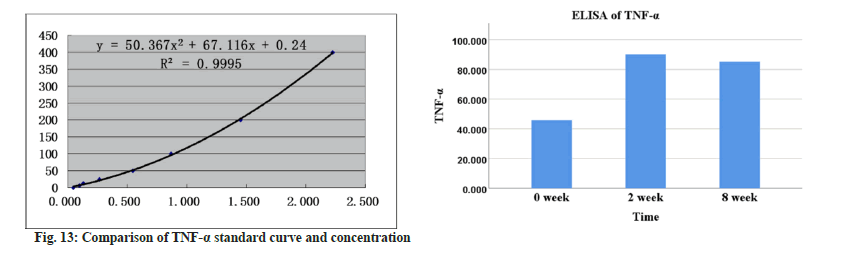 ijps-curve