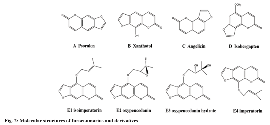 ijps-derivatives