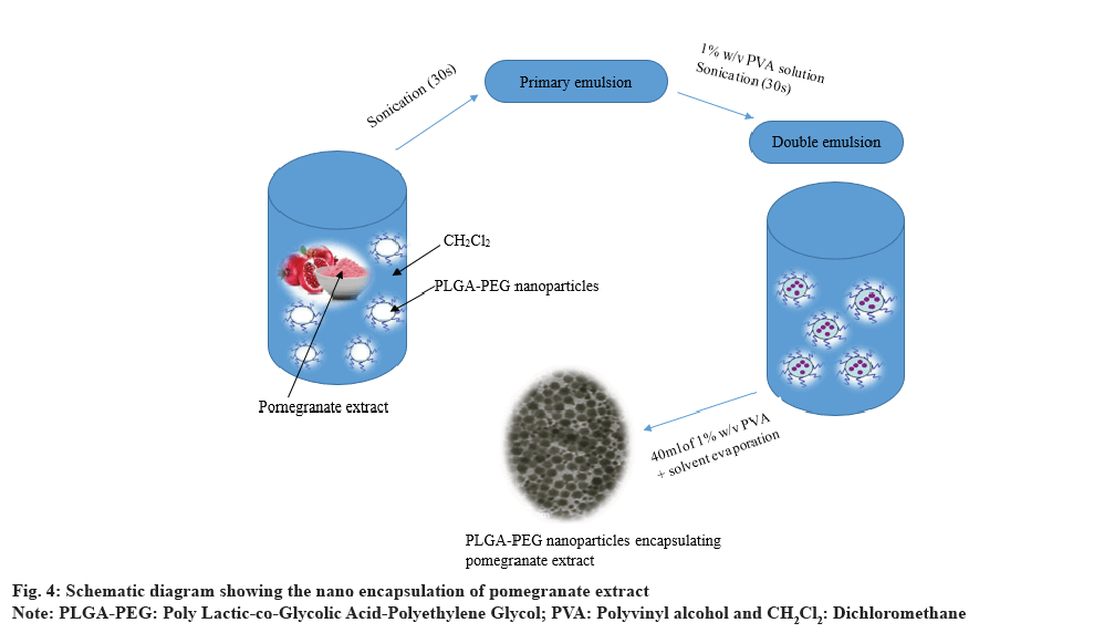 ijps-encapsulation