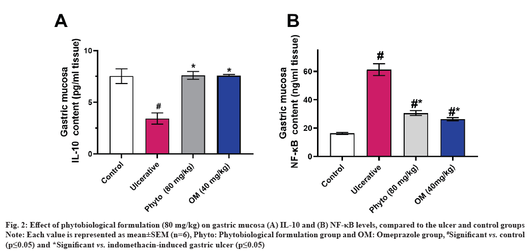 Protective and Therapeutic Potential of a Novel Phytobiological Formulation  of Nutrients in the Treatment of Indomethacin-Induced Gastric Ulcer