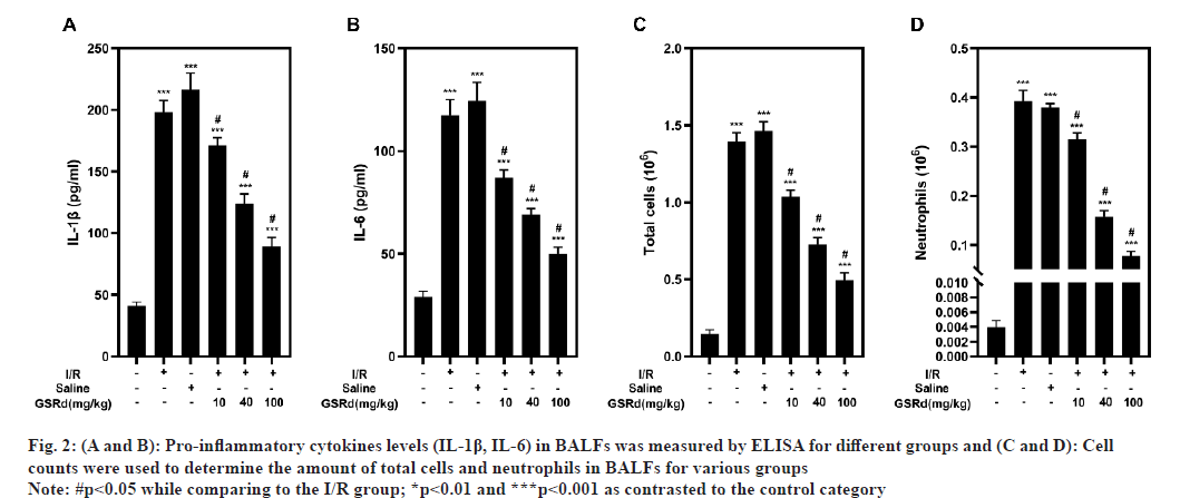 ijps-inflammatory