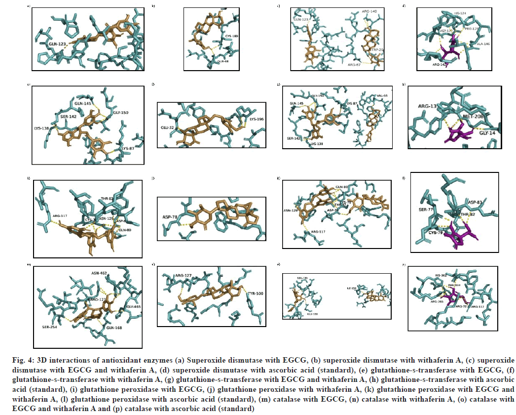 ijps-interactions