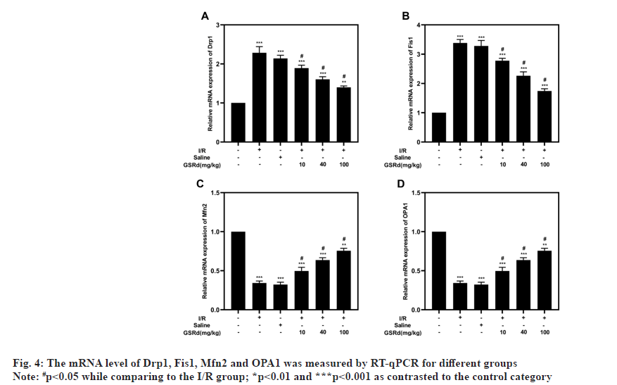 ijps-mRNA