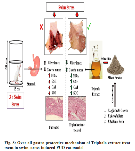 ijps-mechanism