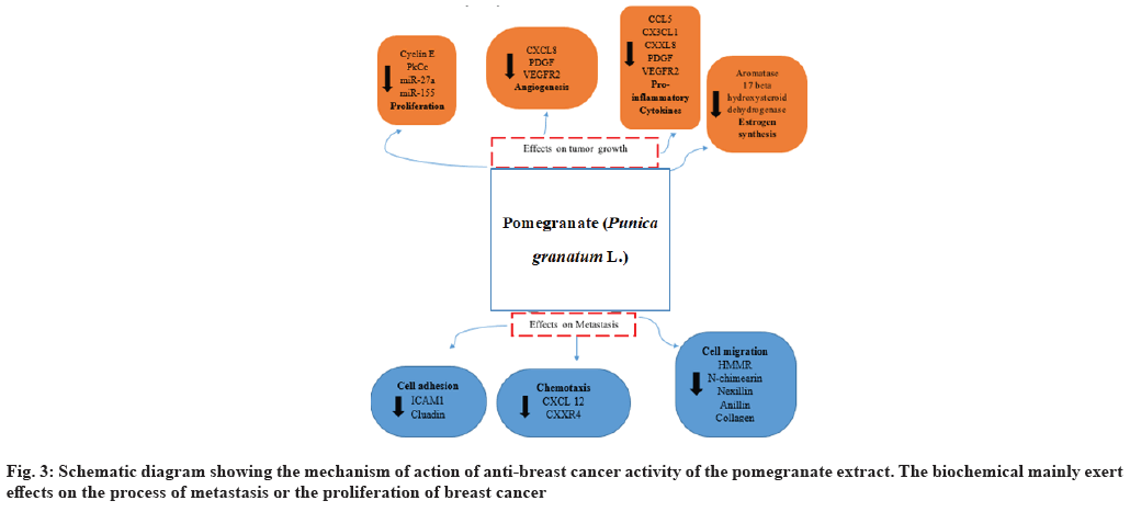 ijps-mechanism