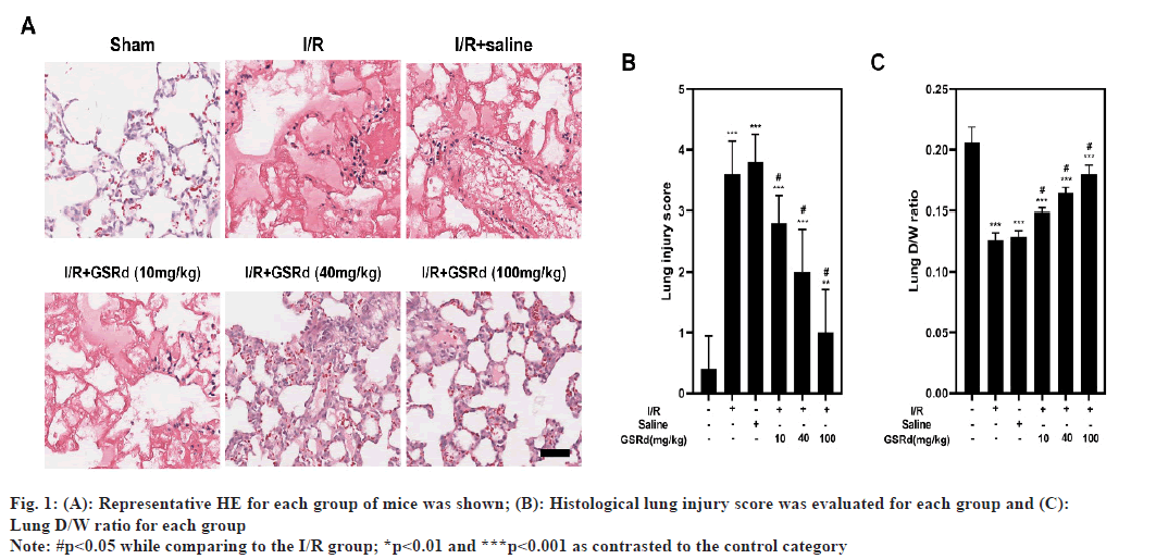 ijps-mice