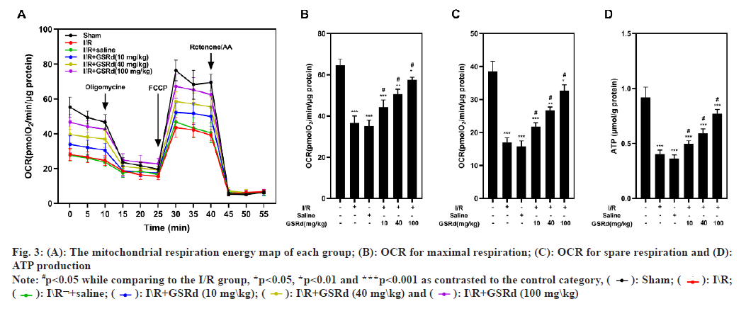 ijps-mitochondrial