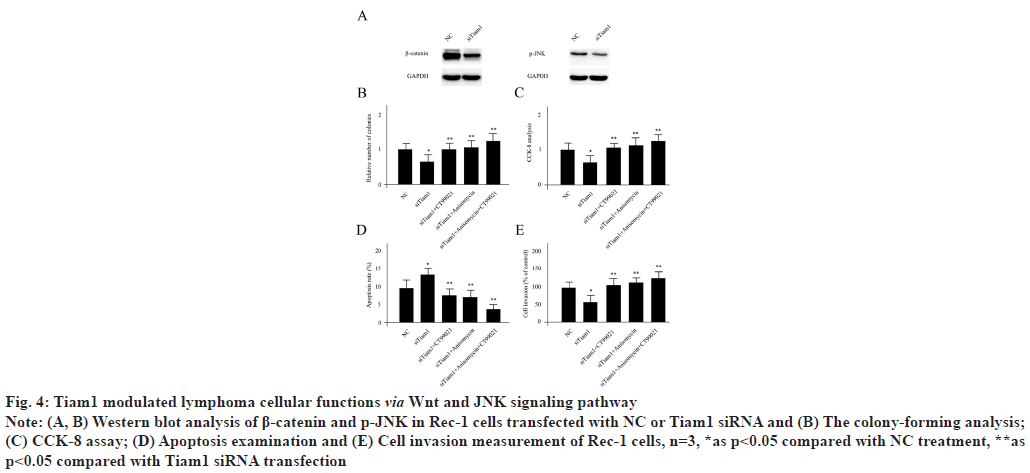 ijps-modulated