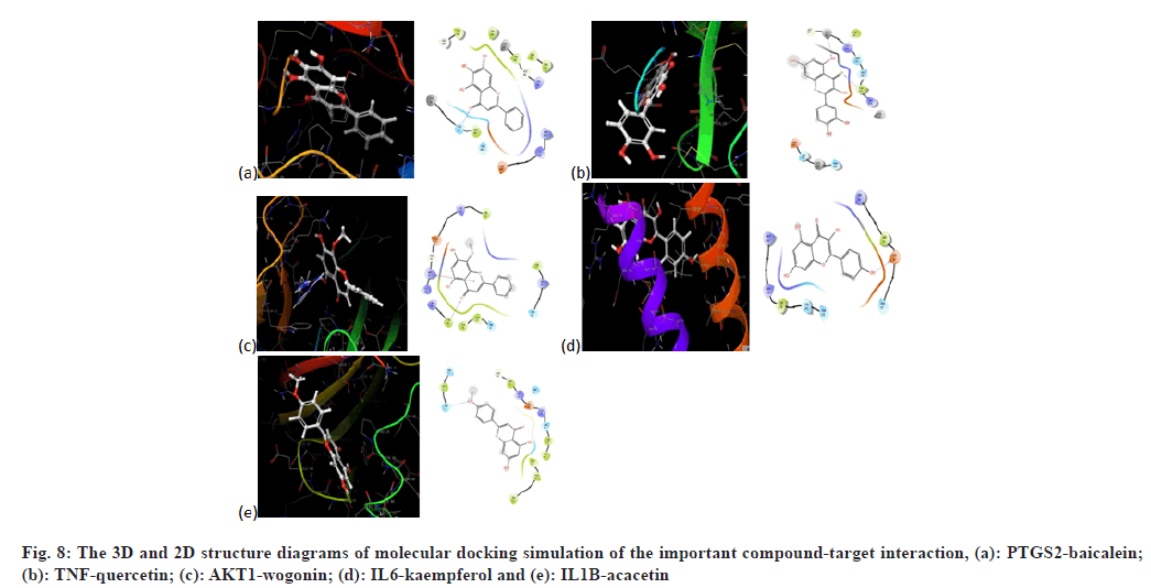 ijps-molecular