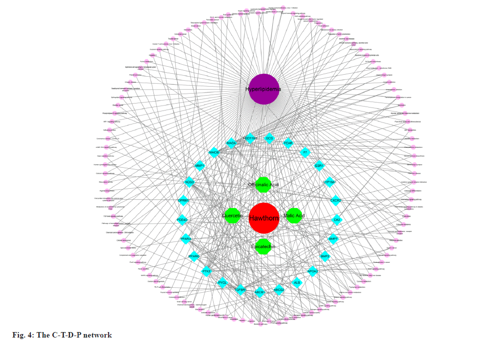 ijps-network