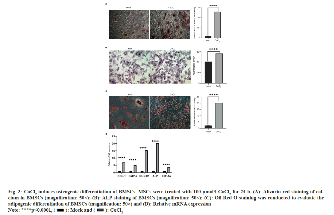 ijps-osteogenic