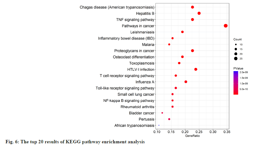 ijps-pathway