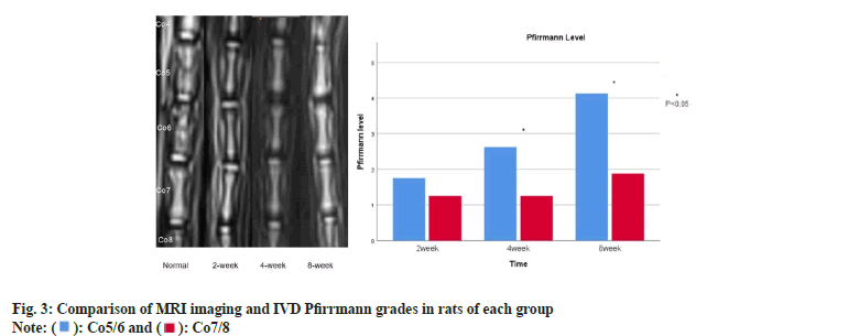 ijps-pfirrmann