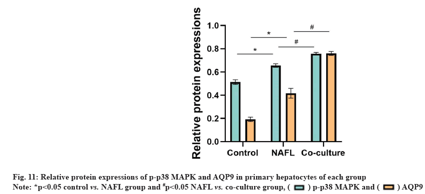 ijps-protein