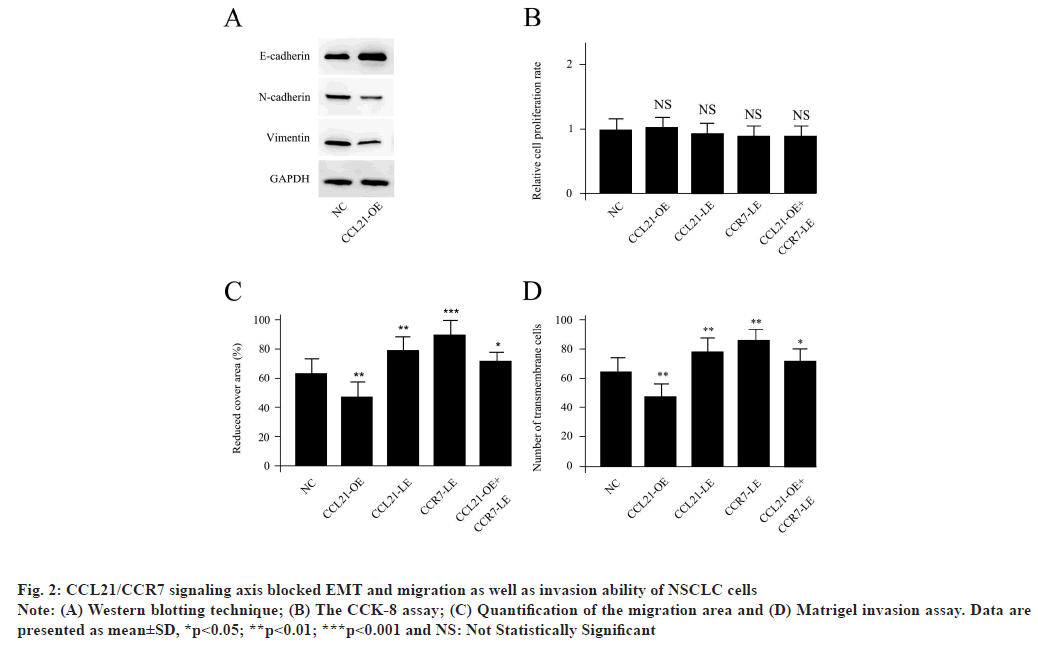 ijps-signaling