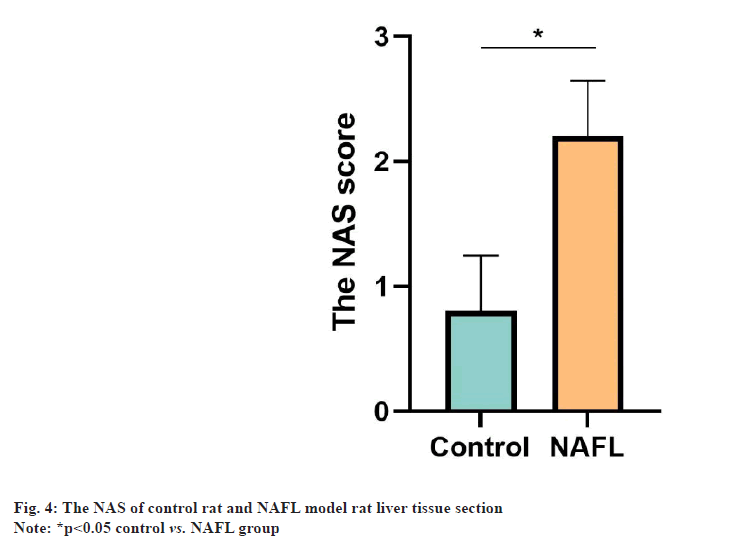 ijps-tissue