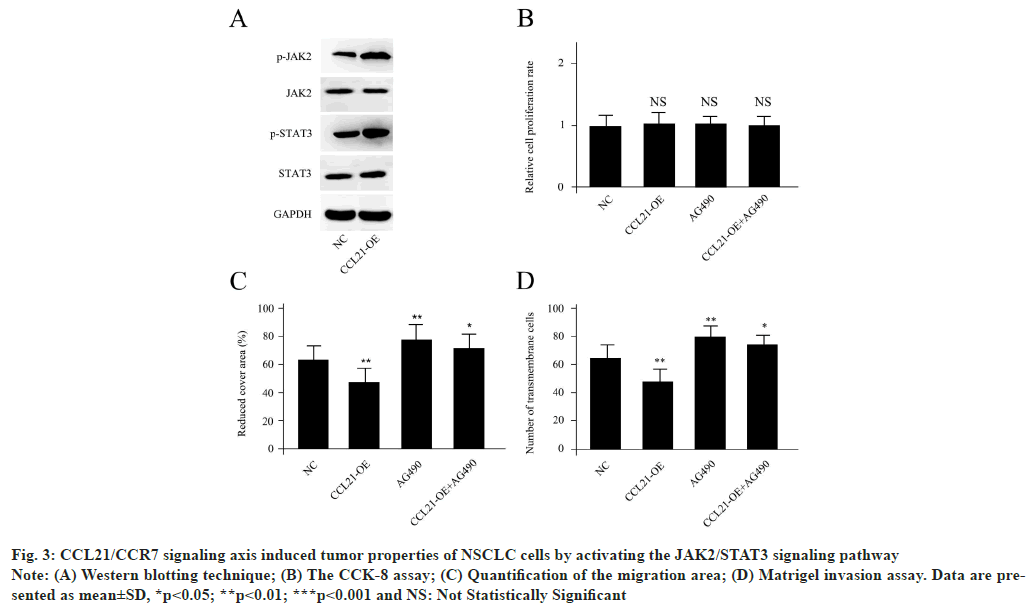 ijps-tumor