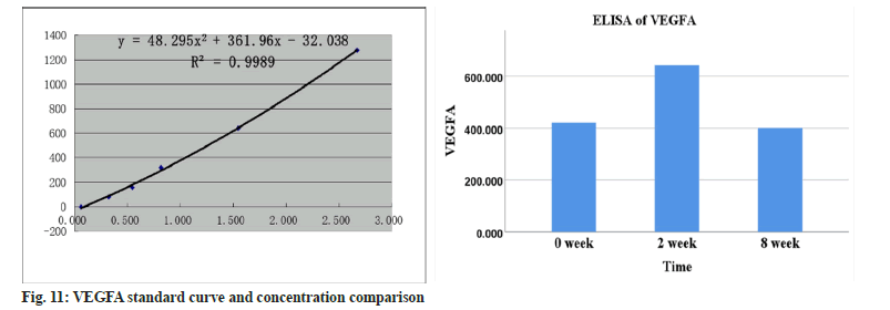 ijps-vegfa