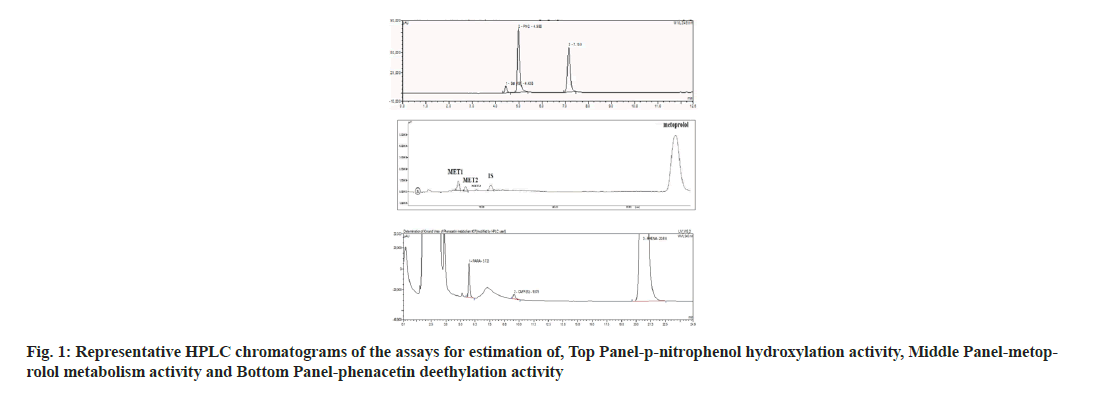 pharmaceautical-sciences-assay