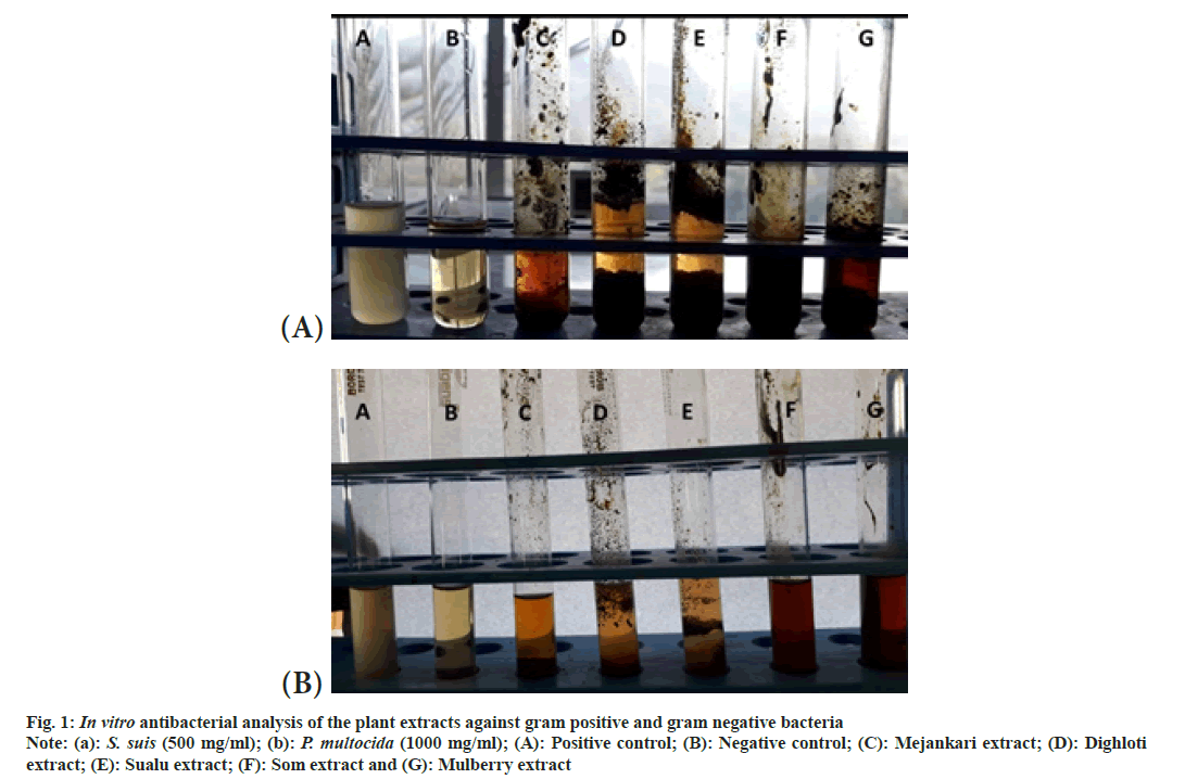 pharmaceautical-sciences-tube