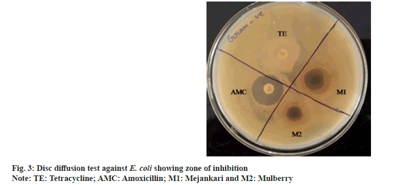 pharmaceautical-sciences-zone