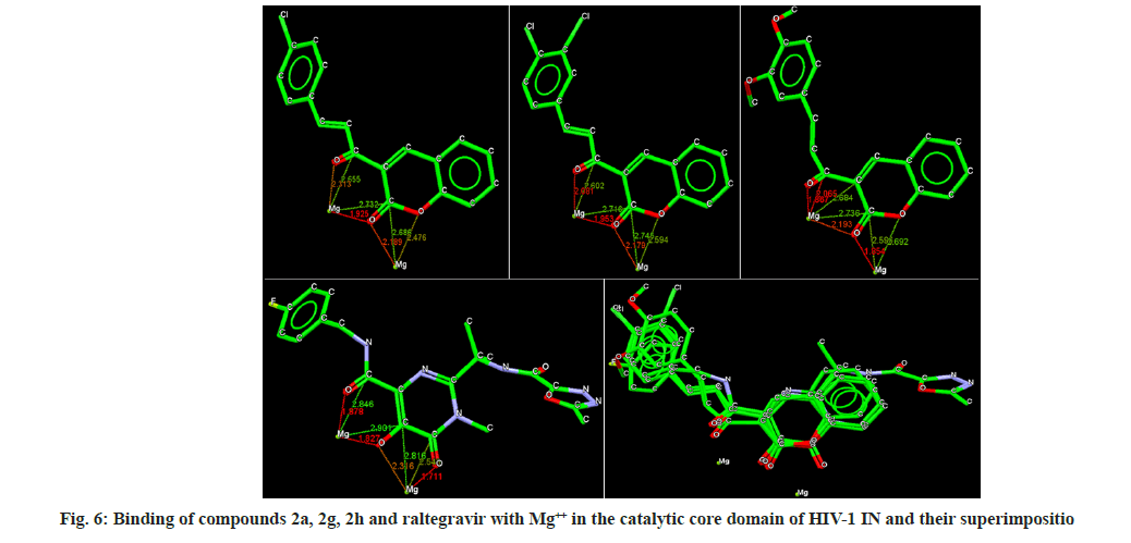 pharmaceutical-sciences-bind