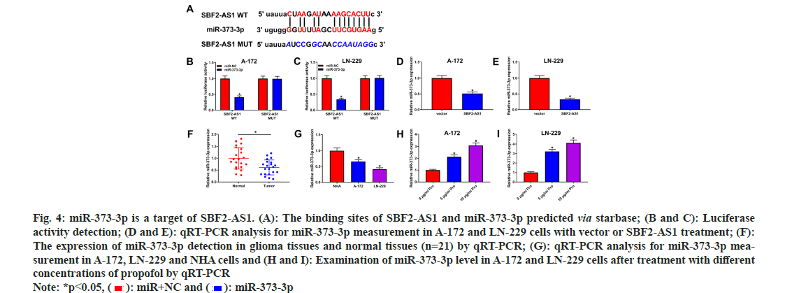 pharmaceutical-sciences-binding