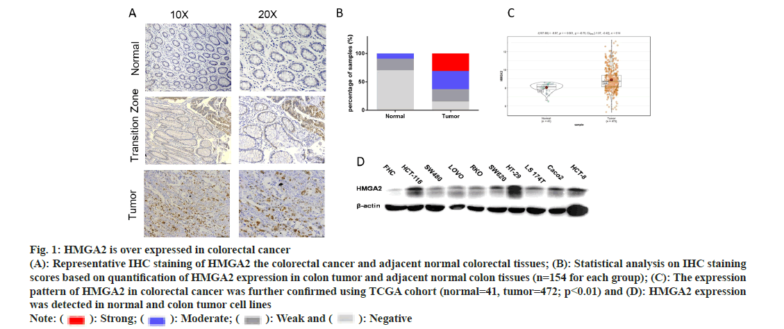 pharmaceutical-sciences-cancer