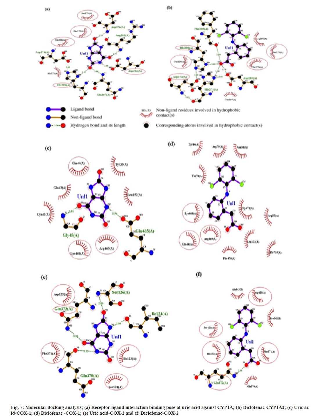 pharmaceutical-sciences-dock