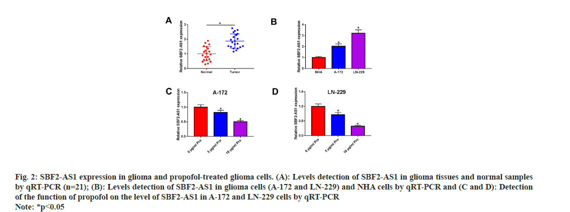 pharmaceutical-sciences-glioma