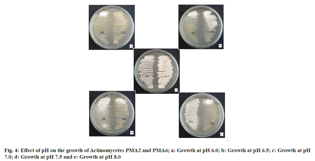 Aarti Agarwal Xxx - Streptomyces | Sodium Chloride Concentration | PH | Temperature |  Incubation Time | Bioactive Metabolite