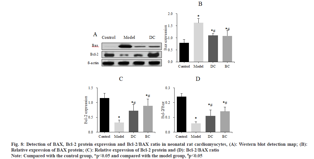 pharmaceutical-sciences-model