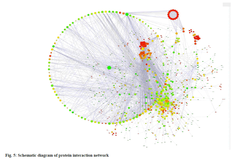 pharmaceutical-sciences-network