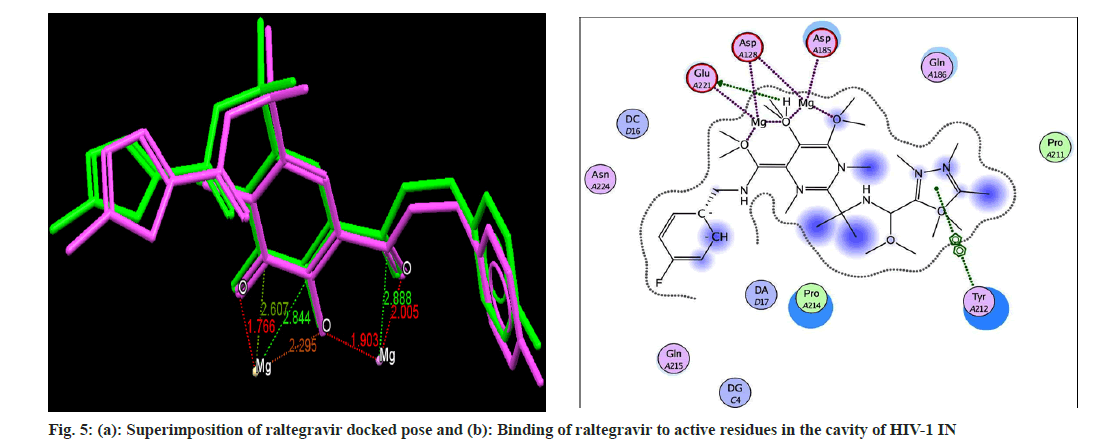 pharmaceutical-sciences-pose