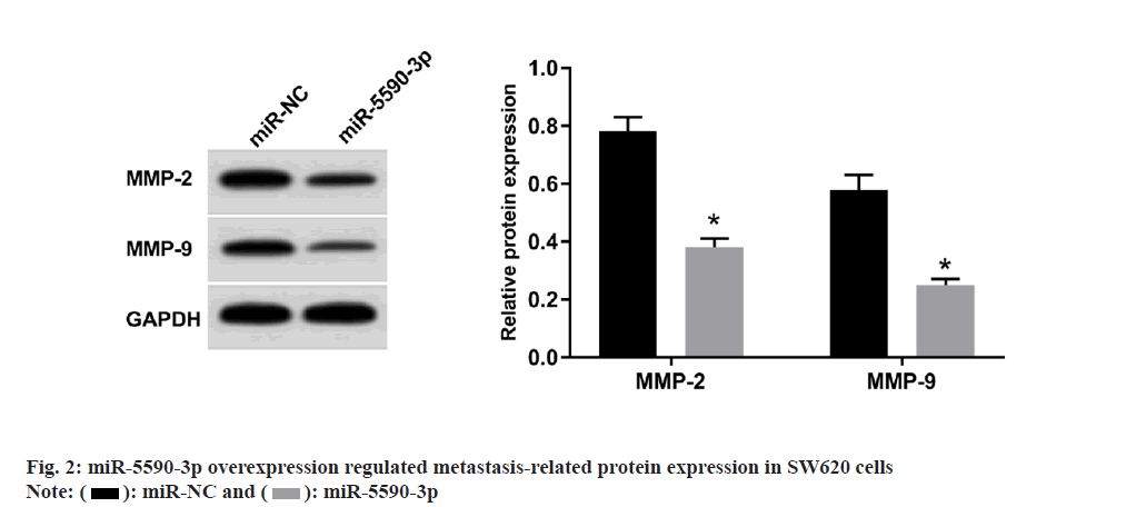 pharmaceutical-sciences-protein