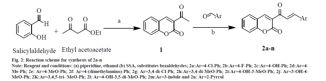 pharmaceutical-sciences-salic