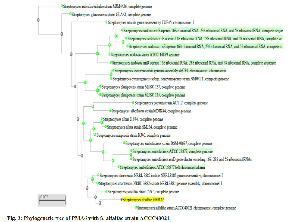 pharmaceutical-sciences-tree