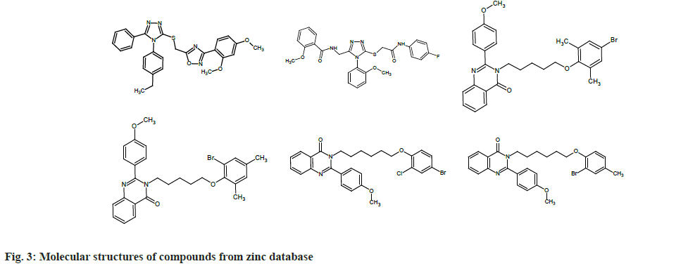 pharmaceutical-sciences-zinc