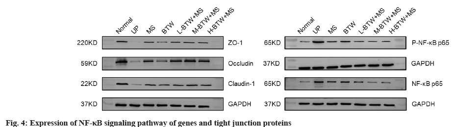 pramaceutical-sciences-genes