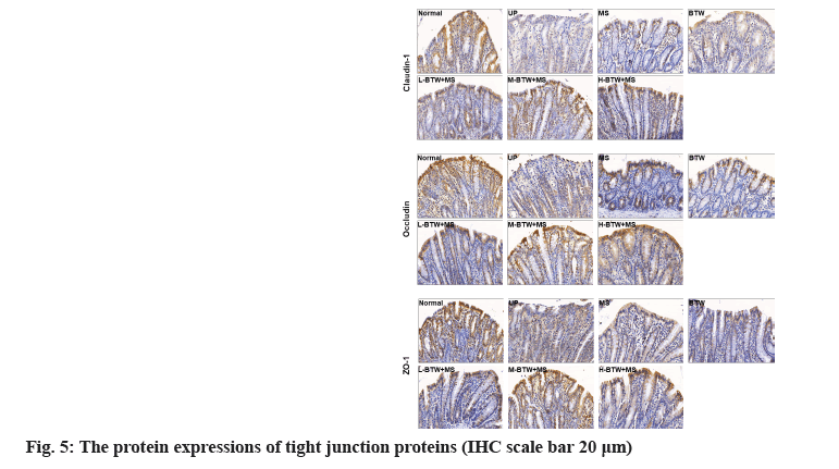 pramaceutical-sciences-protein