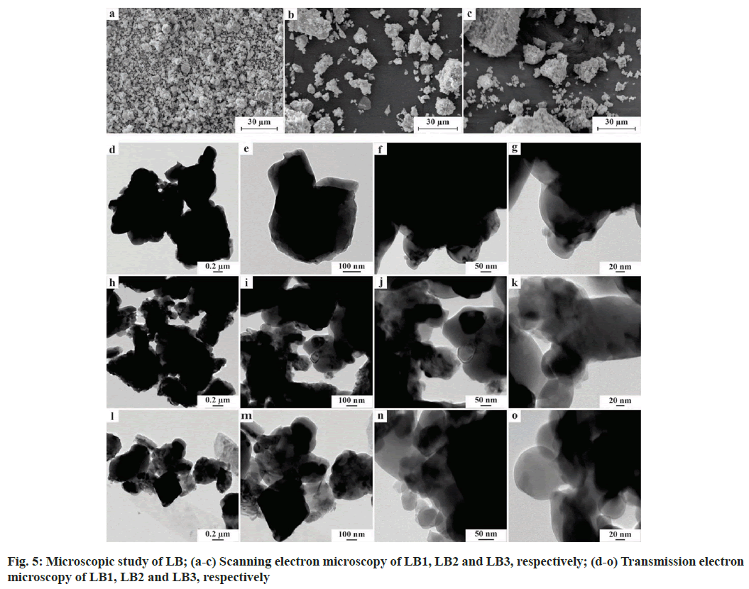 IJPS-Scanning