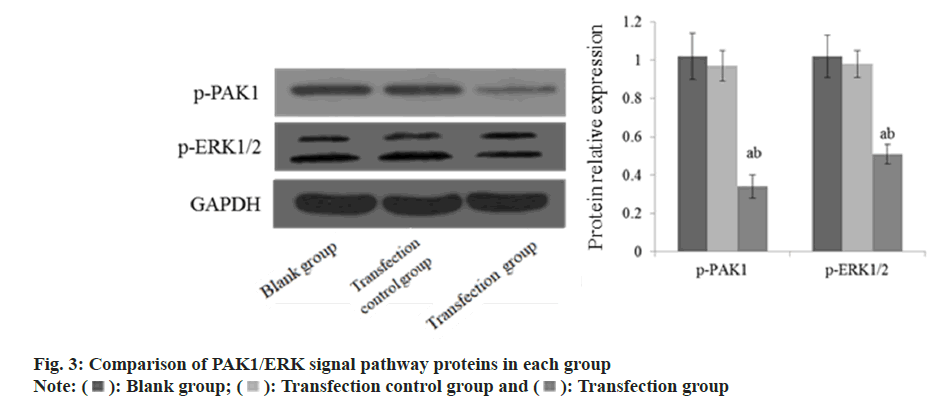 IJPS-Transfection