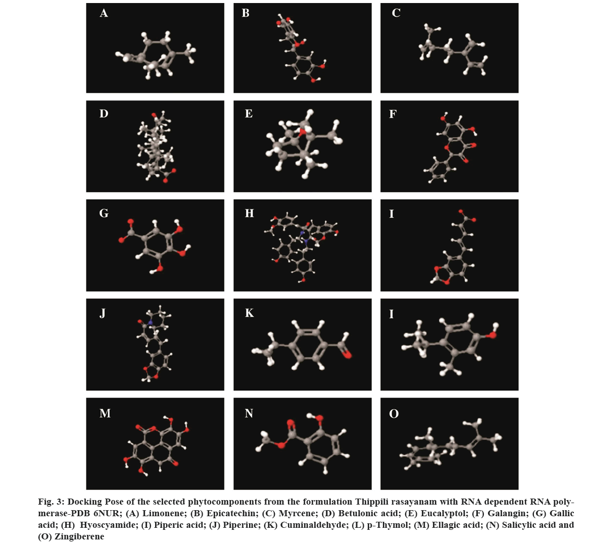 IJPS-86-1-formulation