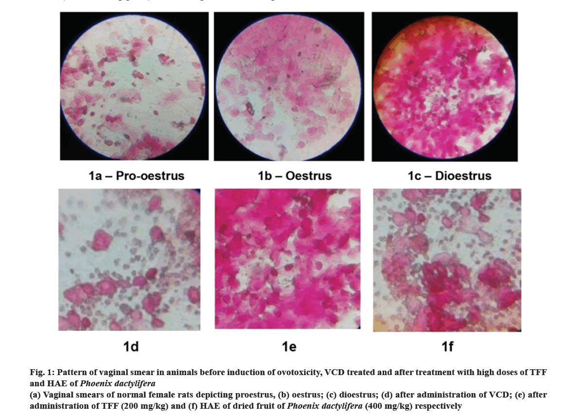 IJPS-86-1-irritation