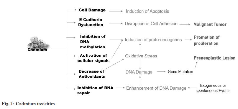 toxicities