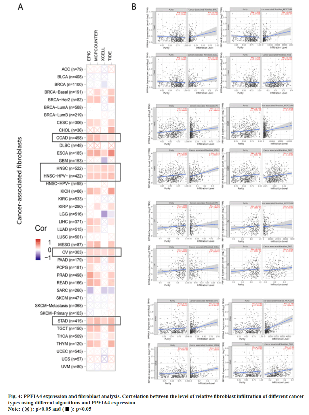 IJPS-Correlation
