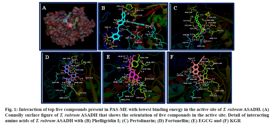 IJPS-Interaction