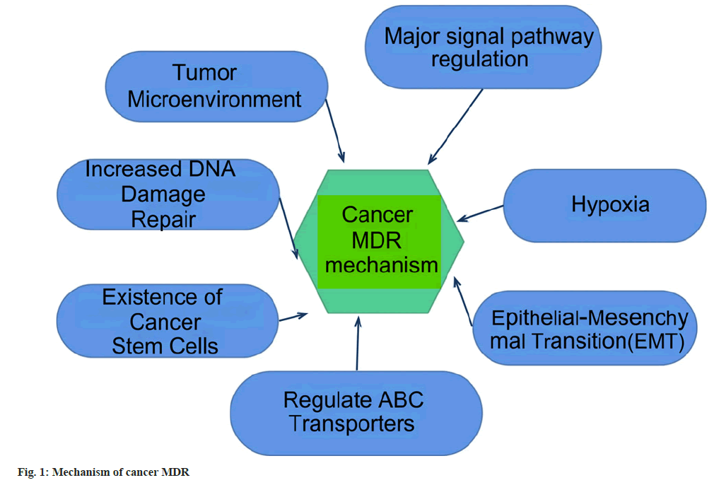 IJPS-Mechanism