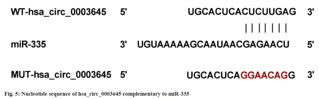 IJPS-Nucleotide